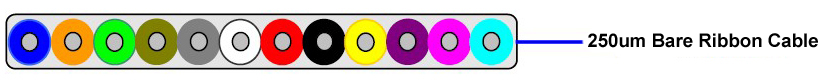 MPO-MTP-bare-fiber-250um-ribbon-cable-diagram