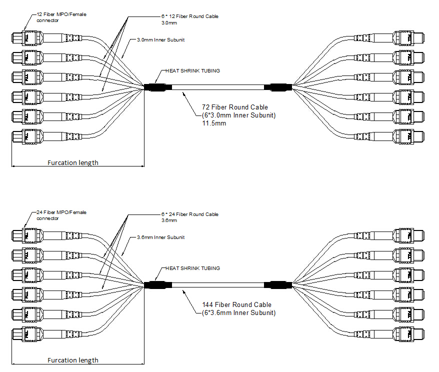 MPO-MPO-Cable-Assemblies-diagram